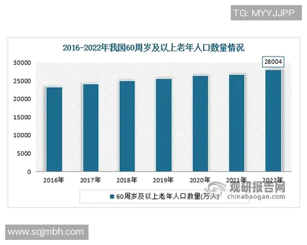 深入探讨北京羽毛球队实力表现的数据分析与未来发展潜力